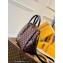 Louis Vuitton Damier Ebene Canvas Odéon Tote MM Bag N45283