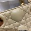 Dior Lady D-Joy Bag in Beige Cannage Lambskin 2022