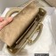 Dior Lady D-Joy Bag in Beige Cannage Lambskin 2022