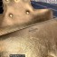 Valentino VLogo Signature Loco Shoulder Bag Gold 2022