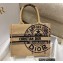 Dior Small Book Tote Bag in Beige Jute Canvas Embroidered with Dior Union Motif 2022