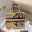 Dior Small Book Tote Bag in Beige Jute Canvas Embroidered with Dior Union Motif 2022