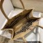 Dior Small Book Tote Bag in Beige Jute Canvas Embroidered with Dior Union Motif 2022