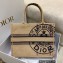 Dior Medium Book Tote Bag in Beige Jute Canvas Embroidered with Dior Union Motif 2022