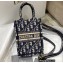 Dior Vertical Book Tote Bag in Blue Oblique Embroidery 2022