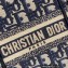 Dior Vertical Book Tote Bag in Blue Oblique Embroidery 2022