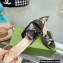Gucci Heel 10.5cm Metallic Leather Sandals Gun Color 2022