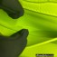 Balenciaga XX Small Flap Bag in crocodile embossed calfskin Fluo Green 2022
