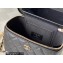 Chanel Caviar Leather Small Vanity Case with Chain Bag 81187 Black 2022