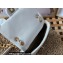Chanel Lambskin Mini Flap Bag AS3109 White 2022
