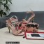 Dolce & Gabbana DG Logo Heel 10.5cm Chain sandals Pink 2022
