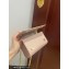Dolce & Gabbana Calfskin 3.5 Chain phone bag Nude
