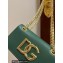 Dolce & Gabbana Calfskin 3.5 Chain phone bag Green