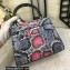 Dolce & Gabbana Welcome Bag in Python Print