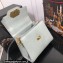 Dolce & Gabbana Welcome Bag in Lizard print