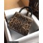 Dolce & Gabbana Welcome Bag in Leopard-print