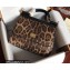 Dolce & Gabbana Medium Sicily bag in Leopard-print