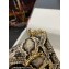 Dolce & Gabbana leather DG Girls shoulder bag Python Print