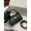 Dolce & Gabbana Small Sicily bag in Dauphine Calfskin Green
