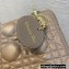 Lady Dior Mini Bag in Cannage Lambskin with Tonal enamel Charms Taupe 2022