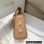 Lady Dior Mini Bag in Cannage Calfskin with Diamond Motif Beige 2022