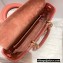 Dior Lady D-Joy Bag in Coral Pink Cannage Lambskin 2022