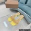 Gianvito Rossi Heel 5.5cm Plexi TPU PVC Cosmic Mules Yellow 2022