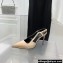 Balmain Heel 9.5cm Madison Crystal-embellished Satin Slingback Pumps Beige 2022