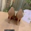 Christian Louboutin Heel 8cm Platform 1.5cm Patent Leather Pumps Nude