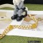 Chanel Grained Calfskin Small Flap Bag AS3369 White 2022