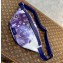 Louis Vuitton Discovery Bumbag PM Bag M20587 Blue Monogram Bandana Print