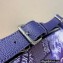 Louis Vuitton Discovery Bumbag PM Bag M20587 Blue Monogram Bandana Print