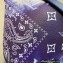 Louis Vuitton Discovery Bumbag PM Bag M20587 Blue Monogram Bandana Print