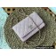 Chanel Crystal CC Logo Wallet on Chain WOC Bag in Grained Calfskin Light Pink 2022