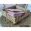 Chanel Crystal CC Logo Wallet on Chain WOC Bag in Grained Calfskin Light Pink 2022