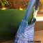 Goyard Bohème Hobo Bag Blue