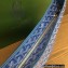 Goyard Bohème Hobo Bag Blue
