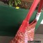 Goyard Bohème Hobo Bag Red