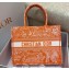 Dior Medium Book Tote Bag in Toile de Jouy Reverse Embroidery Fluorescent Orange 2022