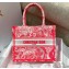 Dior Small Book Tote Bag in Toile de Jouy Transparent Canvas Fluorescent Pink 2022