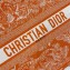 Dior Medium Book Tote Bag in Toile de Jouy Reverse Embroidery Fluorescent Orange 2022