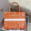 Dior Medium Book Tote Bag in Toile de Jouy Reverse Embroidery Fluorescent Orange 2022