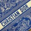 Dior Medium Book Tote Bag in Toile de Jouy Reverse Embroidery Fluorescent Blue 2022