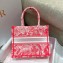 Dior Small Book Tote Bag in Toile de Jouy Transparent Canvas Fluorescent Pink 2022