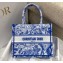 Dior Small Book Tote Bag in Toile de Jouy Transparent Canvas Fluorescent Blue 2022