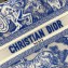 Dior Small Book Tote Bag in Toile de Jouy Transparent Canvas Fluorescent Blue 2022