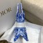 Dior Small Book Tote Bag in Toile de Jouy Transparent Canvas Fluorescent Blue 2022