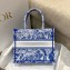 Dior Small Book Tote Bag in Toile de Jouy Transparent Canvas Fluorescent Blue 2022