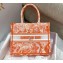 Dior Small Book Tote Bag in Toile de Jouy Transparent Canvas Fluorescent Orange 2022