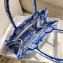 Dior Small Book Tote Bag in Toile de Jouy Transparent Canvas Fluorescent Blue 2022